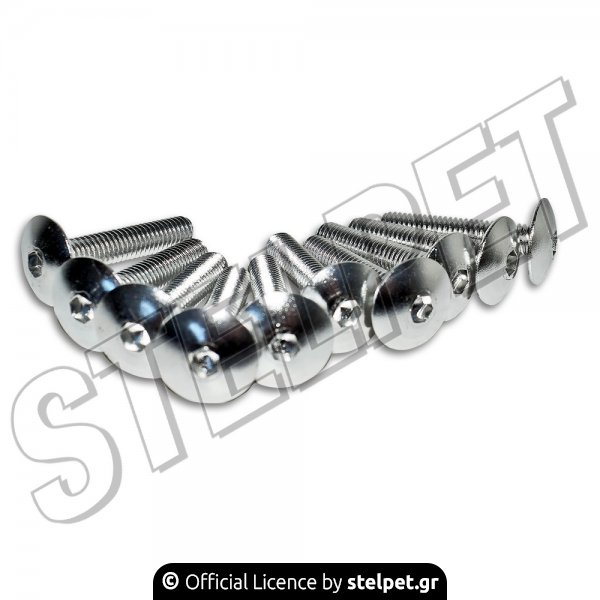 Σετ βίδες αλουμινίου SHARK 6x30mm 10 τεμάχια ασημί