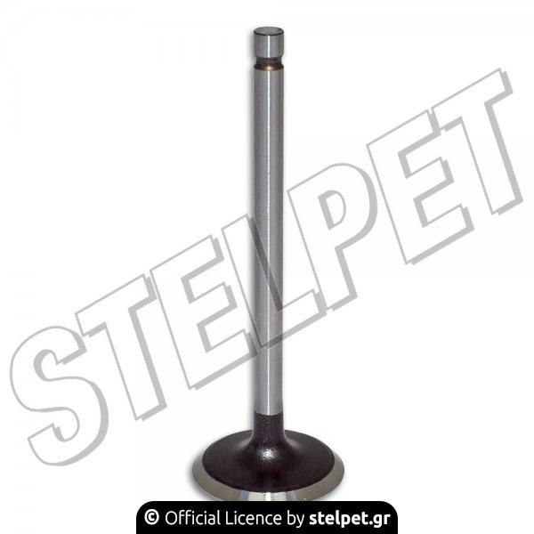 Βαλβίδα εισαγωγής Modenas Kristar 125 TKRJ