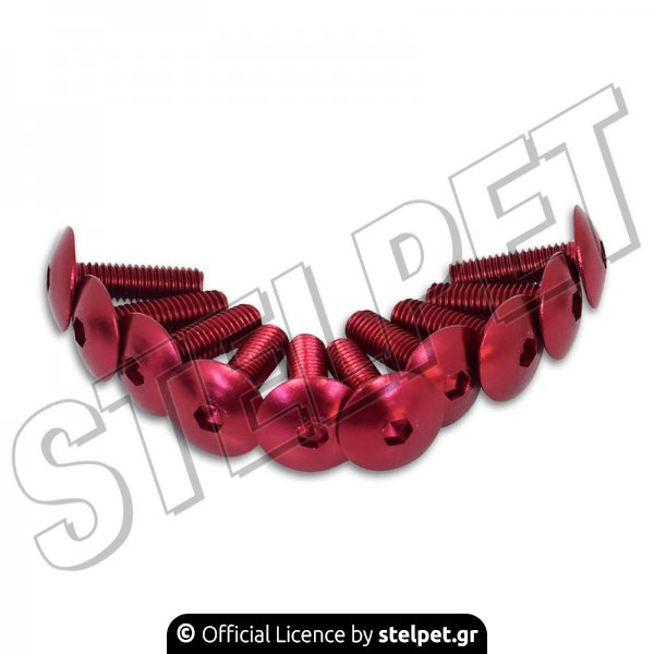 Βίδες αλουμινίου 6x25mm σετ 10τμχ κόκκινες