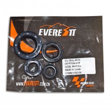 Τσιμούχες κινητήρα σετ Yamaha Crypton-X 135 Everestt