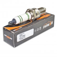 Μπουζί DPR8EA-9 Everestt