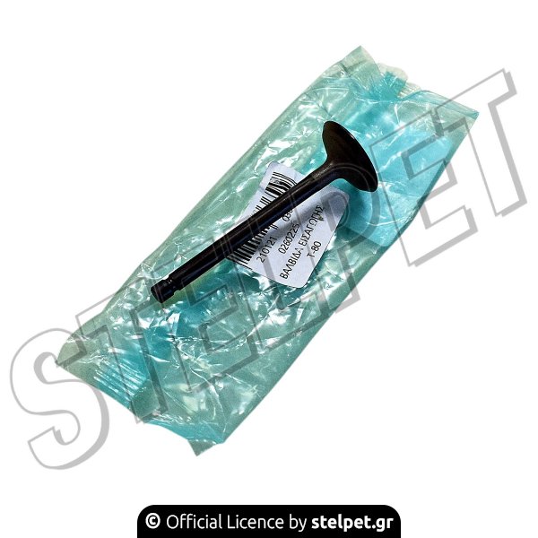 ΒΑΛΒΙΔΑ ΕΙΣΑΓ. Τ80