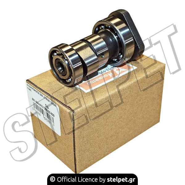 ΕΚΚΕΝΤΡΟΦΟΡΟΣ SYM JOYRIDE 125/200 ΚΙΝΑΣ