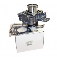 Κυλινδροπίστονο σετ με φλάντζες Honda SH 300 '07-'19 / FORZA 300