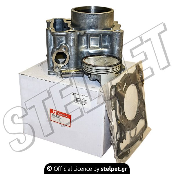 ΚΥΛΙΝΔΡΟΣ YAM X-MAX 300 70MM KIT ΚΙΝΑΣ
