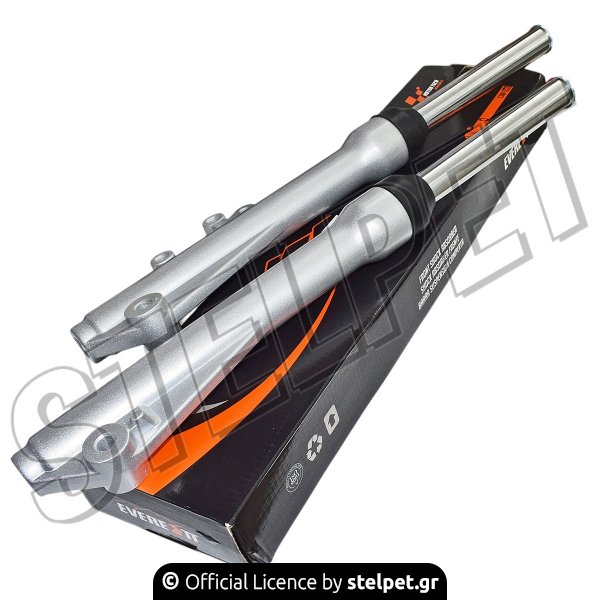 Μπουκάλες πιρουνιού Kawasaki Kaze-R 115 / Modenas Kriss II 115 Everestt