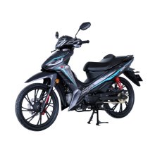 ΜΟΤΟΣΥΚΛΕΤΑ ΠΑΠΙ ASUS 125i CBS / EFI E5+ ΓΚΡΙ ΣΚΟΥΡΟ