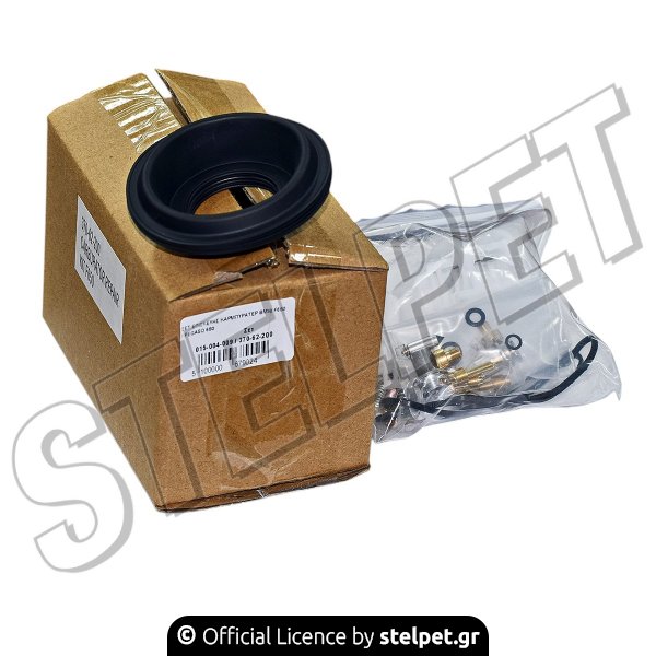 ΣΕΤ ΕΠΙΣΚΕΥΗΣ ΚΑΡΜΠΥΡΑΤΕΡ BMW F650 / PEGASO 650