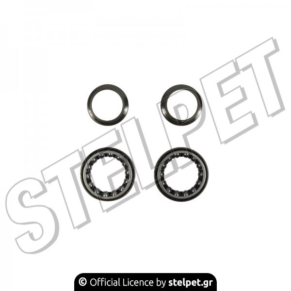 Ρουλεμάν πιρουνιού Με Μπίλιες Honda XLV 650 Transalp / XRV 750 Africa Twin SSH902 Koyo