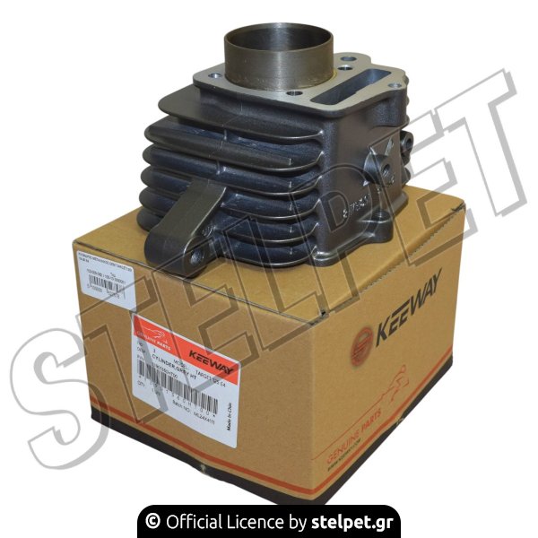 ΚΥΛΙΝΔΡΟΣ ΜΕΤΑΛΛΙΚΟΣ ΟΕΜ TARGET125I 18-20 Ε4