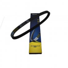 Ιμάντας Μετάδοσης Michelin Aramid 977-24.8-30-15.3 (B9-1029)