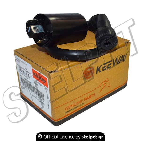 ΠΟΛΛΑΠΛΑΣΙΑΣΤΗΣ OEM TARGET 125I'18-20 E4